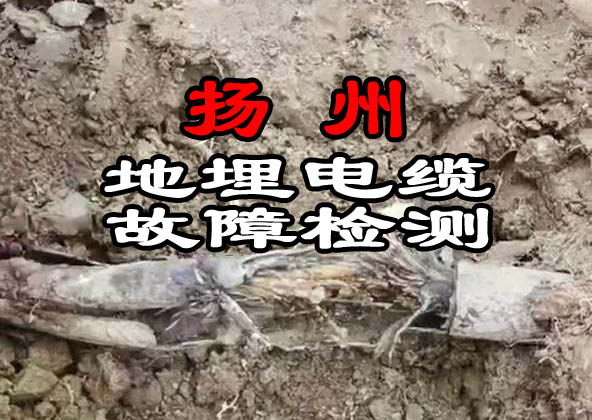 扬州电缆故障检测