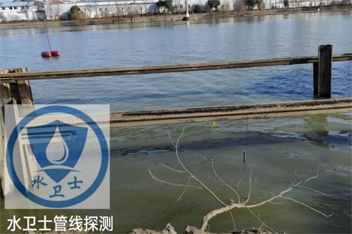六彩大联盟官网