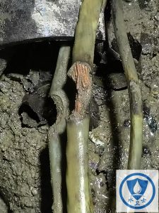 江阴电缆故障检测